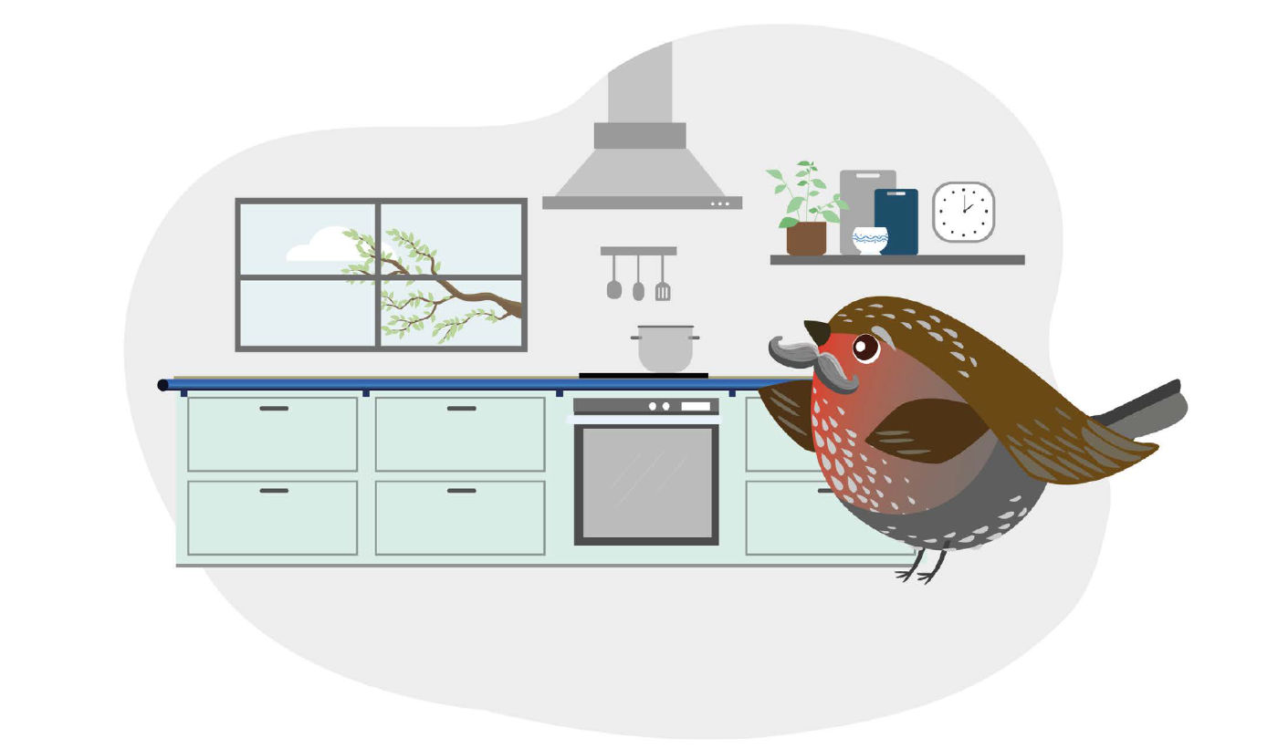 Senior Home Solutions Bird graphic